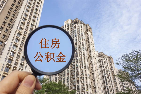 乐陵离职多久可以取住房公积金（离职多久后能取公积金）